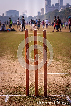 Cricket Stumps Stock Photo