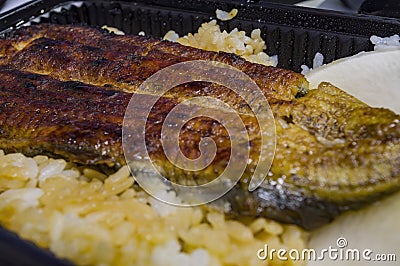 Close up shot of delicious Unagi lunch box Stock Photo