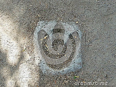 Close-up shot of a dinosaur footprint. Fake for children Stock Photo