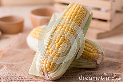 Close up shot Fresh ripe and peeled sweet corn high vitamin nature food Stock Photo