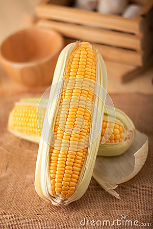 Close up shot Fresh ripe and peeled sweet corn high vitamin nature food Stock Photo