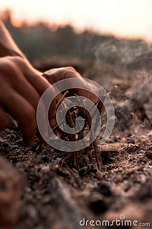 Close up shot of male hands making camp fire in the wild Stock Photo