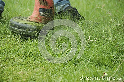 Gardener trims overgrown green grass in a lawn yard with an electric lawnmower Stock Photo