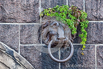 Close-up shot of a metallic lion door knocker on a stone wall Stock Photo