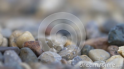 Close up shot of pebbles on ground Stock Photo