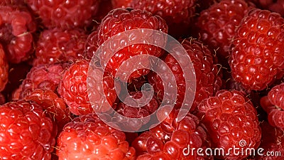 Close-up shot of red raspberries from above Stock Photo