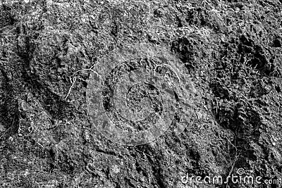 A close up shot of a rock Stock Photo