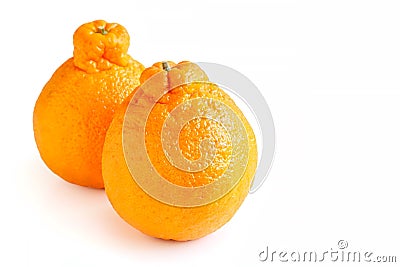 Fresh Sumo Mandarin on White Background Stock Photo