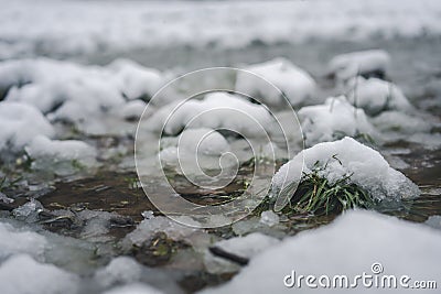 Close-up shot of thick snow in a puddle. Warming winter climate nature Stock Photo