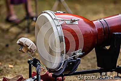Traditional drum at earth festival Stock Photo
