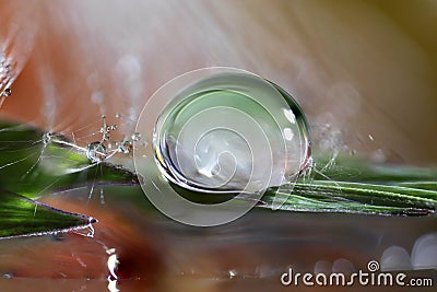 Close up shot of water droplet on a leaf Stock Photo