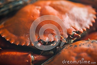 Close-up shot of Well-Done Steamed Crabs Stock Photo