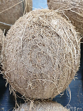 Close up shot of whole coconuts skin Stock Photo