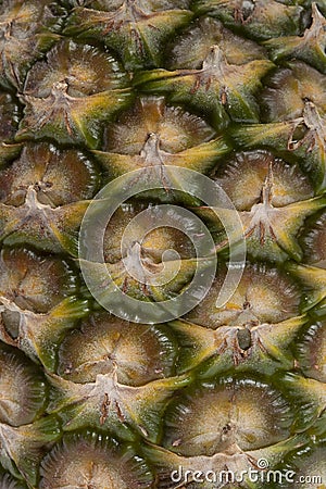 Close up of the skin of a pineapple Stock Photo