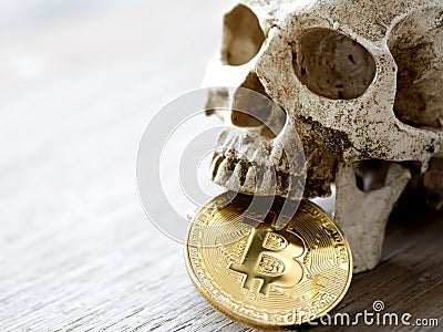 Close up of Skull biting Golden bitcoin on wooden table. The concept of investment and Fluctuation of bitcoin and cryptocurrency. Stock Photo