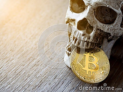 Close up of Skull biting Golden bitcoin on wooden table. The concept of investment and Fluctuation of bitcoin and cryptocurrency. Stock Photo