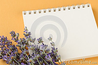 Close-up of small bouquet of fragrant blooming lavender on a blank paper notepad over a textural yellow background. Summer and Stock Photo