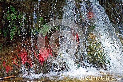 Close up of small colorful waterfall in Spain Stock Photo