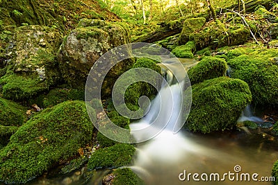 Close up of a small forest stream near Third Vault Falls Stock Photo