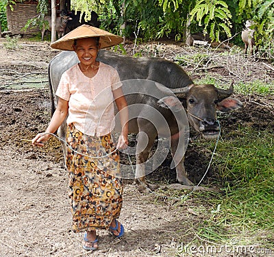 Close up smiling woman in conical hat with water buffalo rural Myanmar Editorial Stock Photo