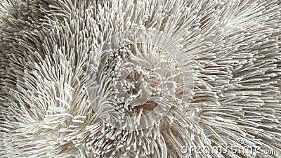 Close-up of soft beige shaggy fabric texture, showing intricate fibers and depth. Ideal for concepts related to comfort, interior Stock Photo