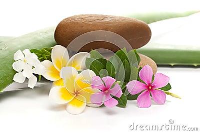 Close-up of Spa and Aromatherapy Concept ayurved concept , Frangipani Flowers, stone and alive vera and rose periwinkle isolated Stock Photo