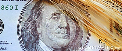 Close up spikes of wheat against US Dollar bill background. Selective focus on eyes of Benjamin Franklin. Horizontal image Stock Photo
