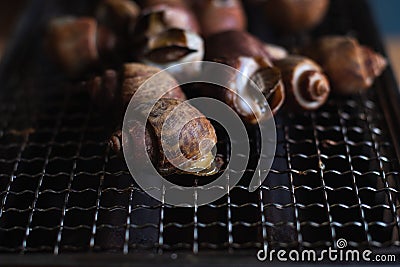 Close up Spiral babylon snail grilling on rack charcoal stove Stock Photo