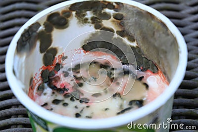 spoilt sour cream in a plastic container covered with different kinds of mold Stock Photo