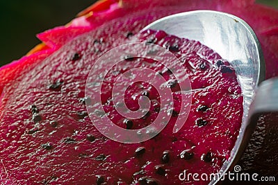 Close up a spoonful of dragon fruit, dark background Stock Photo