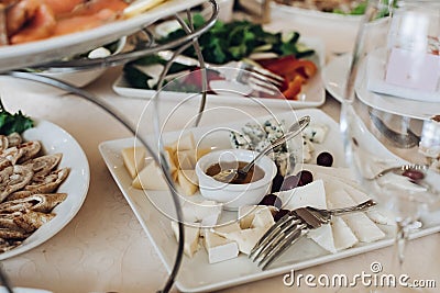 Sliced cheese platter with honey and grape. Stock Photo