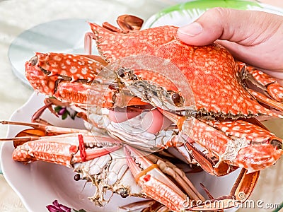 Close up steamed blue crab on plate Stock Photo