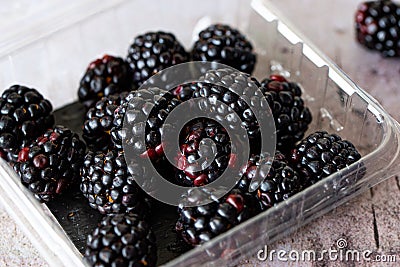 Blackberries in plastic clamshell Stock Photo