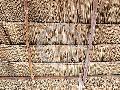 Straw background. Texture of thatch roof Stock Photo