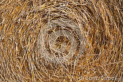 Close up of straw bale Stock Photo