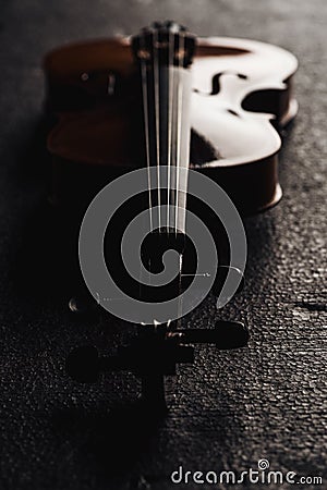 Close up of strings on cello in darkness on grey textured background. Stock Photo