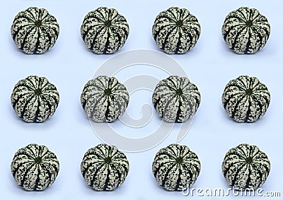 striped green and white pumpkins on white pattern Stock Photo