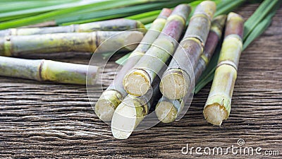 Close up sugarcane on wood background close up. Stock Photo