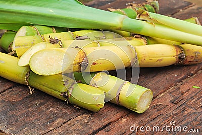 Close up Sugarcane Stock Photo