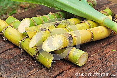 Close up Sugarcane Stock Photo