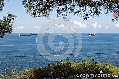 Close-up of the summer landscape. Blue sea, clouds over the horizon and cargo ships, view through the green branches of trees Stock Photo