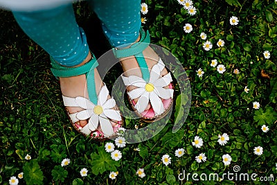 Close-up of summer shoes for little girl with daisy flowers. Child on green grass with daisies. Stock Photo