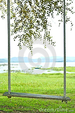 Close up of swing on a tree Stock Photo