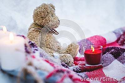 A close-up of a teddy bear with Christmas candles on a cozy checkered rug in the outdoors next to a snowdrift sprinkled Stock Photo