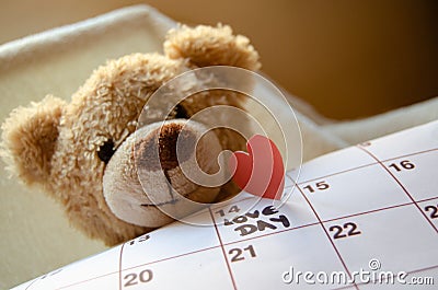 Close up of teddy bear holding callendar and paper red heart marking love day 14 february Stock Photo