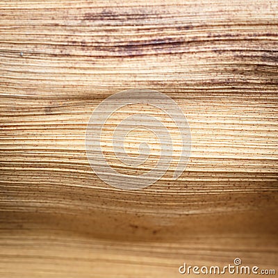 Close up texture of dried palm leaf Stock Photo