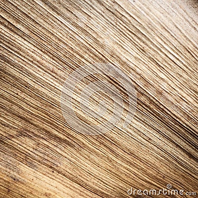 Close up texture of dried palm leaf Stock Photo