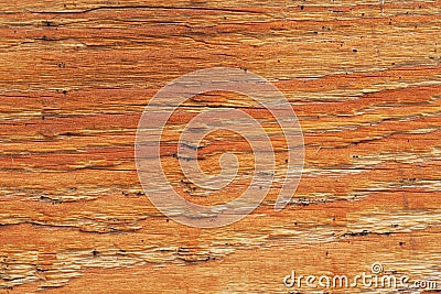 texture of an hewn pine bar Stock Photo