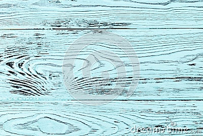 Close-up texture larch wood. cyan or turquoise color Stock Photo