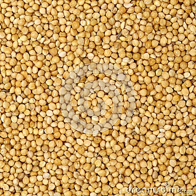 Close-up texture made of natural proso millet grains Stock Photo